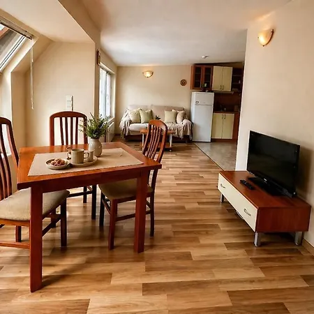 Panoramic Cozy Apartment